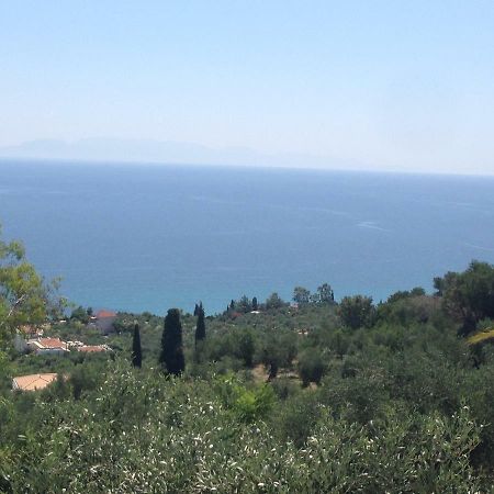 Villa Nadia Vounaria Bagian luar foto