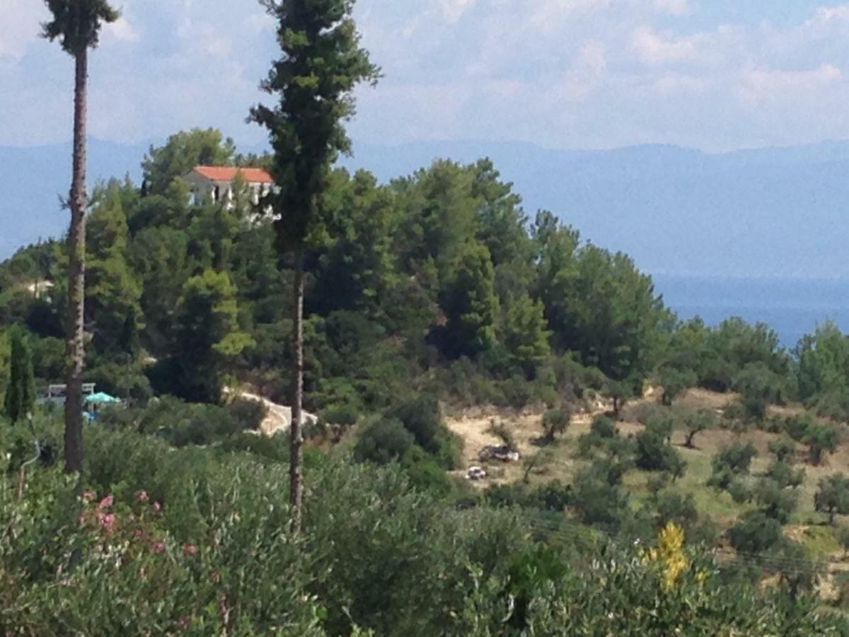 Villa Nadia Vounaria Bagian luar foto